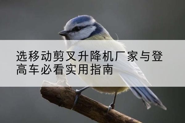 铜川电动升降机厂家-选移动剪叉升降机厂家与登高车必看实用指南