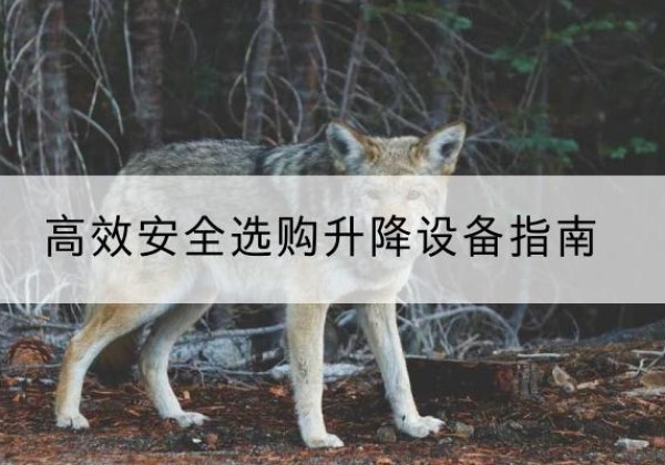 铜川升降货梯厂家推荐-*安全选购升降设备指南