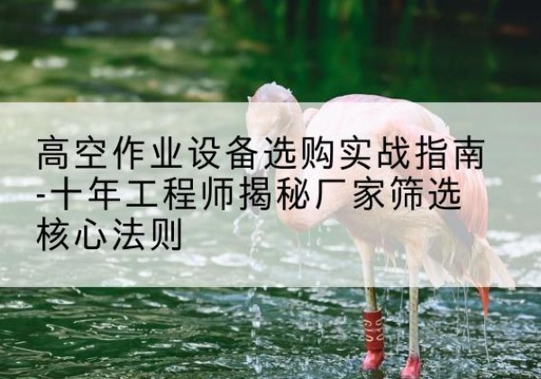 铜川剪叉式升降机厂家-高空作业设备选购实战指南-十年工程师揭秘厂家筛选核心法则